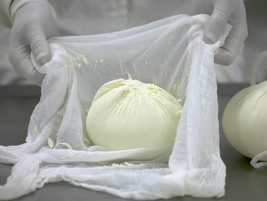 proceso trapu blanco