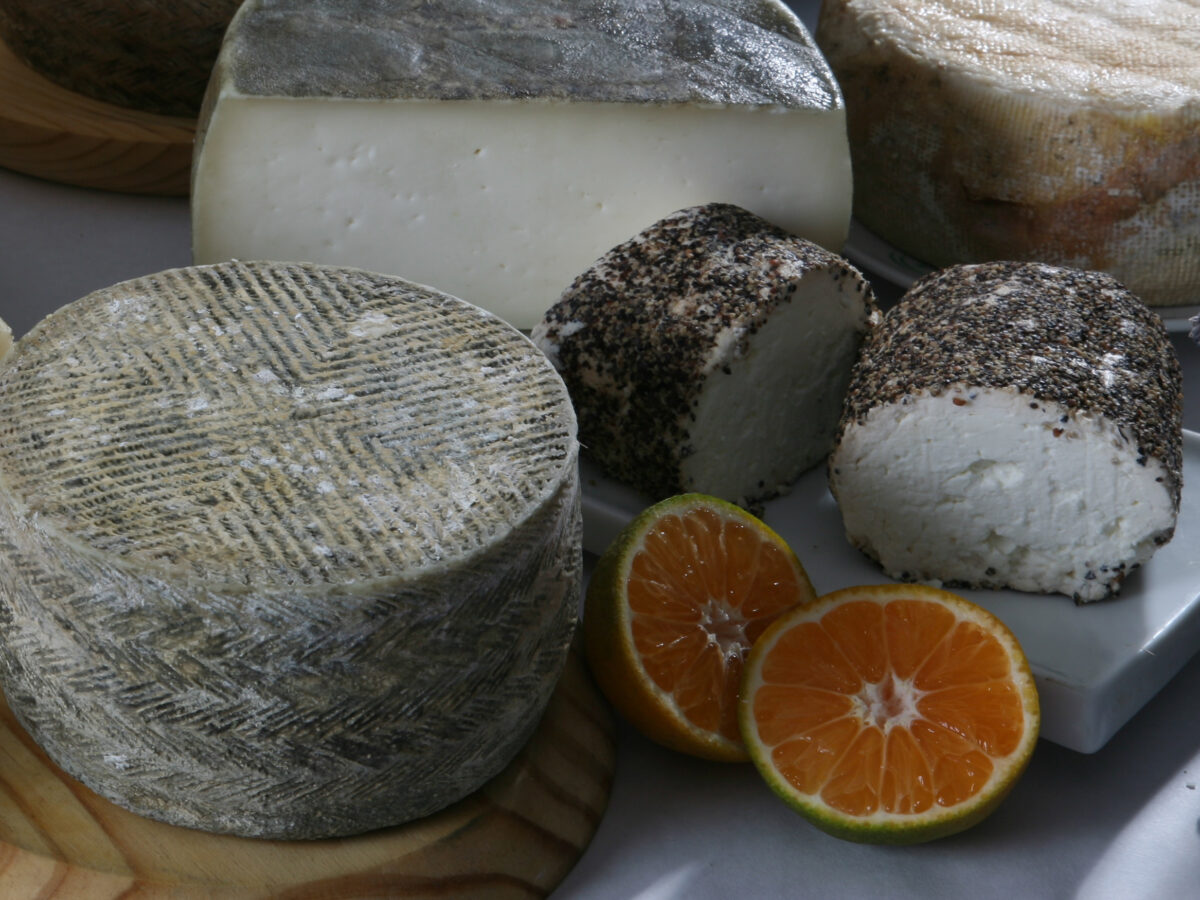 Participación en el Andalucia Gusto del Sur International Cheese Festival 2026