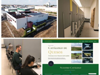 Del laboratorio al paladar: la ciencia que explica por qué un queso sabe como sabe